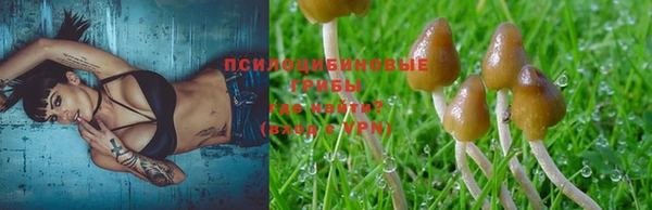 apvp Михайловск