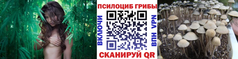 Псилоцибиновые грибы GOLDEN TEACHER Рыльск